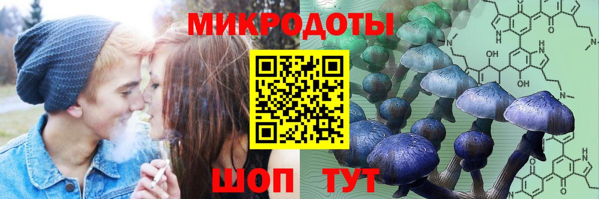 Галлюциногенные грибы GOLDEN TEACHER Тара